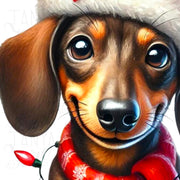 Christmas Dachshund PNG, Xmas Dog Sublimation Design for Digital Prints, Tumbler & T-Shirt Designs, Christmas Pet Transparent PNG Download