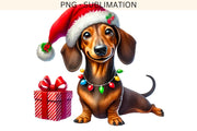 Christmas Dachshund PNG, Cute Christmas Dog Sublimation Design for Digital Prints, Tumbler & T-Shirt Designs, Pet Holiday Card Making