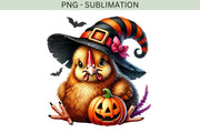 Funny Chicken Witch PNG | Halloween Chicken Lady Shirt Design, Sublimation & Transparent Stickers for Digital Crafting, Transparent Designs