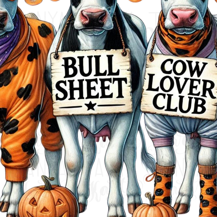 Bullsheet PNG, Funny Halloween Cow Design for T-Shirts, Highland Cow with Pumpkin Sublimation, Trendy Western Spooky Season Shirt