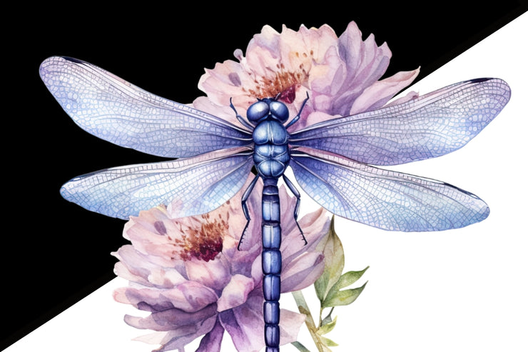 Dragonfly Floral Printable Artwork, Digital Downloads for Sublimation Designs