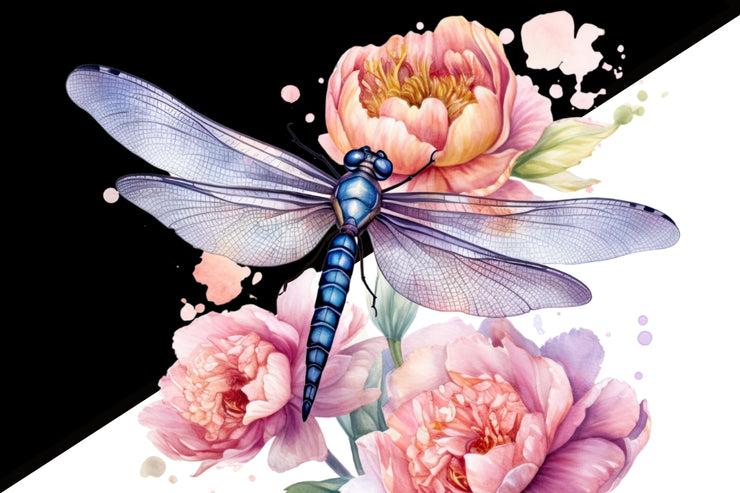 Dragonfly PNG Digital Downloads, Insect Illustration