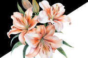 Digital Lily Plants Printable Art, Spring Florals Sublimation Design