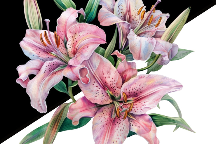 Lily PNG Digital Image, Flower Graphics & Downloadable Print