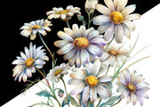 Daisy Floral Digital Downloads, Tshirt Design PNG