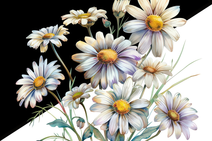 Daisy Floral Digital Downloads, Tshirt Design PNG