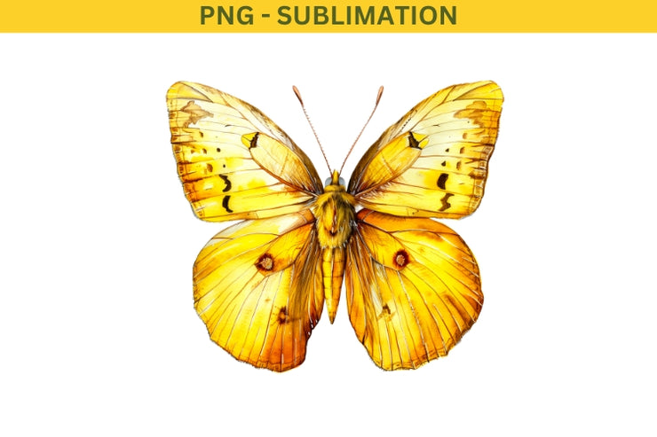 Yellow Butterfly PNG Digital Download