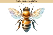 Queen Bee Sublimation Digital Download - Honey Bee PNG