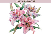 Lily PNG Digital Image, Flower Graphics & Downloadable Print