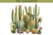 Mexican Succulent PNG Image