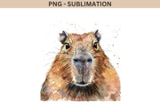 Capybara PNG Digital Download