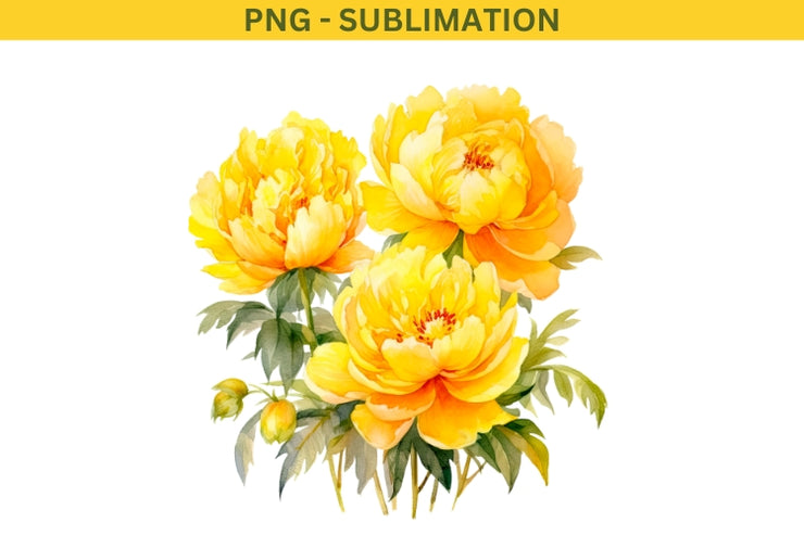 Yellow Peonies PNG Digital Download