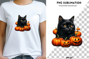 Black Cat with Pumpkins PNG Digital Prints for Fall Sublimation Crafting, Cat Lover PNG Designs, Black Cat and Pumpkin Crafting File