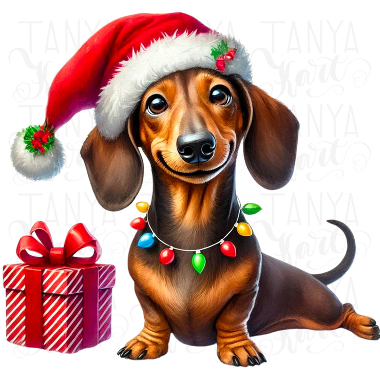 Christmas Dachshund PNG, Cute Christmas Dog Sublimation Design for Digital Prints, Tumbler & T-Shirt Designs, Pet Holiday Card Making