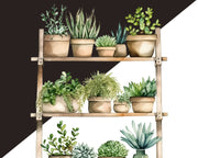 Plants On Shelves Watercolor Clipart