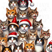 Merry Catmas Digital Print, Transparent Design for Sublimation and Card Crafting, Christmas Animal PNG Digital Download for Tshirt Printing