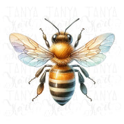 Queen Bee Sublimation Digital Download - Honey Bee PNG