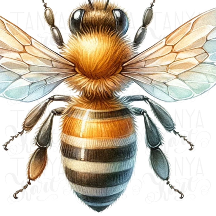 Queen Bee Sublimation Digital Download - Honey Bee PNG