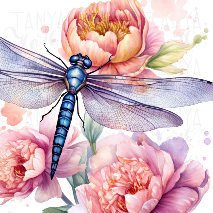 Dragonfly PNG Digital Downloads, Insect Illustration