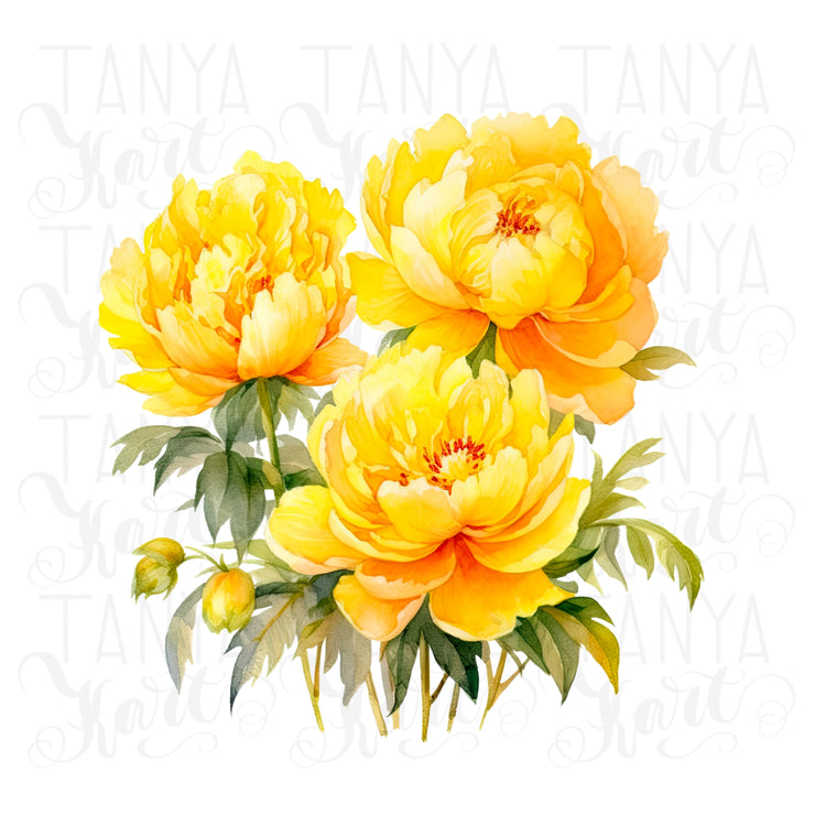 Yellow Peonies PNG Digital Download