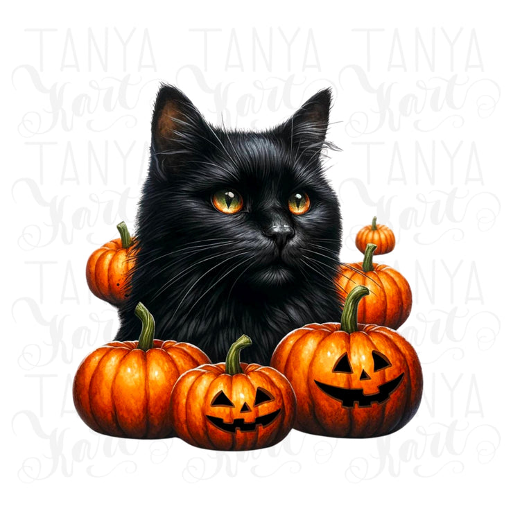 Black Cat with Pumpkins PNG Digital Prints for Fall Sublimation Crafting, Cat Lover PNG Designs, Black Cat and Pumpkin Crafting File