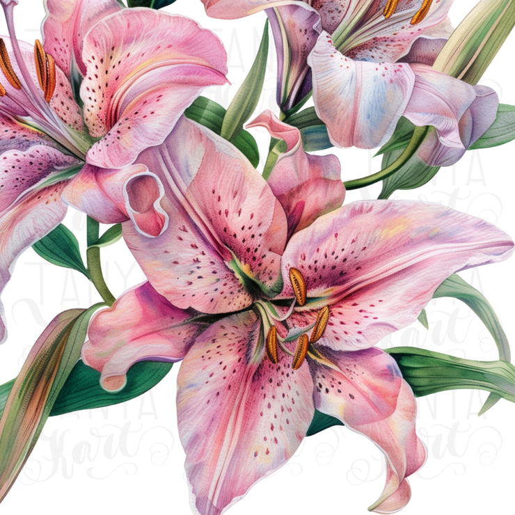 Lily PNG Digital Image, Flower Graphics & Downloadable Print