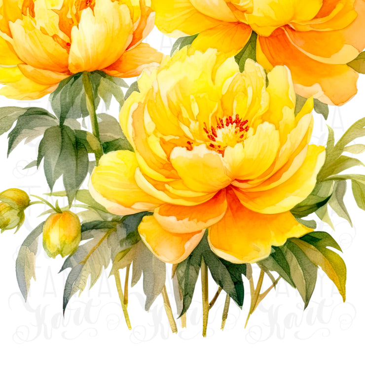 Yellow Peonies PNG Digital Download