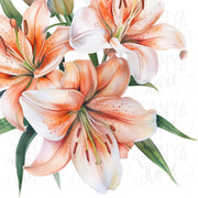 Digital Lily Plants Printable Art, Spring Florals Sublimation Design