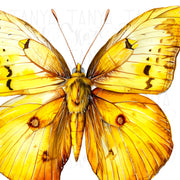 Yellow Butterfly PNG Digital Download