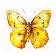 Yellow Butterfly PNG Digital Download