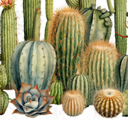 Mexican Succulent PNG Image