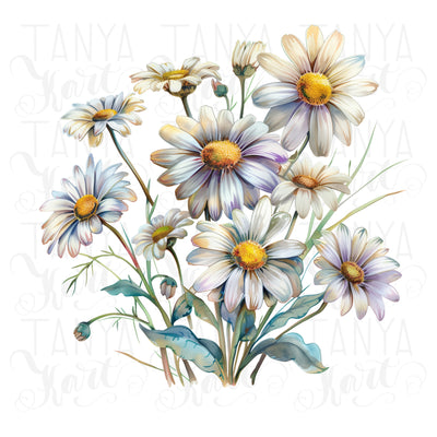 Daisy Floral Digital Downloads, Tshirt Design PNG