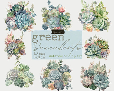 Green Succulents Png Watercolor Clipart