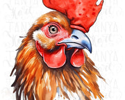 Watercolor Rooster PNG Digital Download