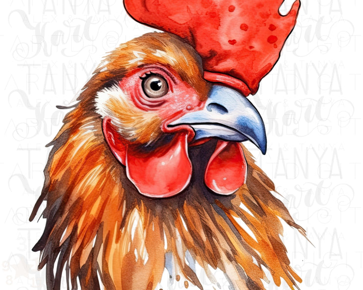 Watercolor Rooster PNG Digital Download