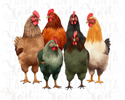 Chicken Graphic Digital Downloads: Sublimation Print for Chicken Lovers