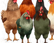 Chicken Graphic Digital Downloads: Sublimation Print for Chicken Lovers