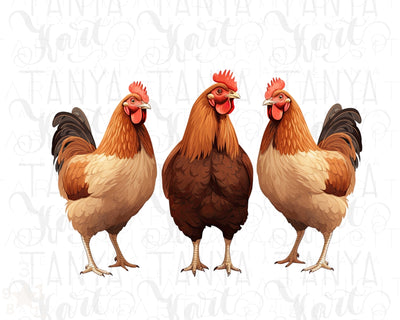 Farm Animals PNG, Chickens Illustrations for Sublimation