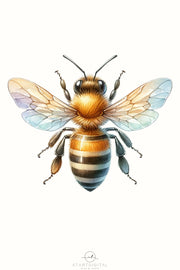 Queen Bee Sublimation Digital Download - Honey Bee PNG