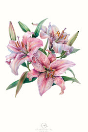 Lily PNG Digital Image, Flower Graphics & Downloadable Print