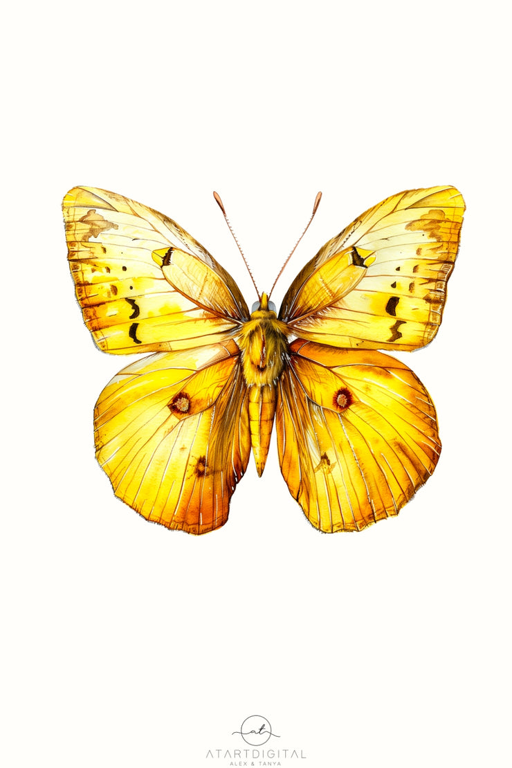 Yellow Butterfly PNG Digital Download