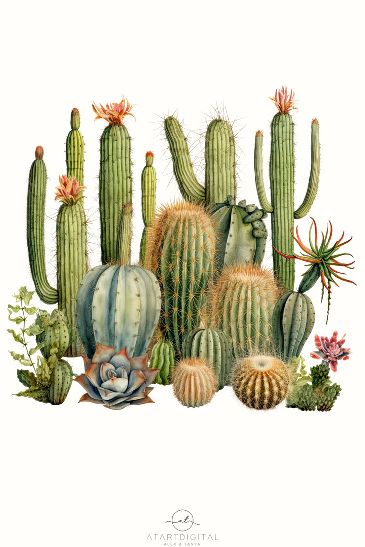 Mexican Succulent PNG Image