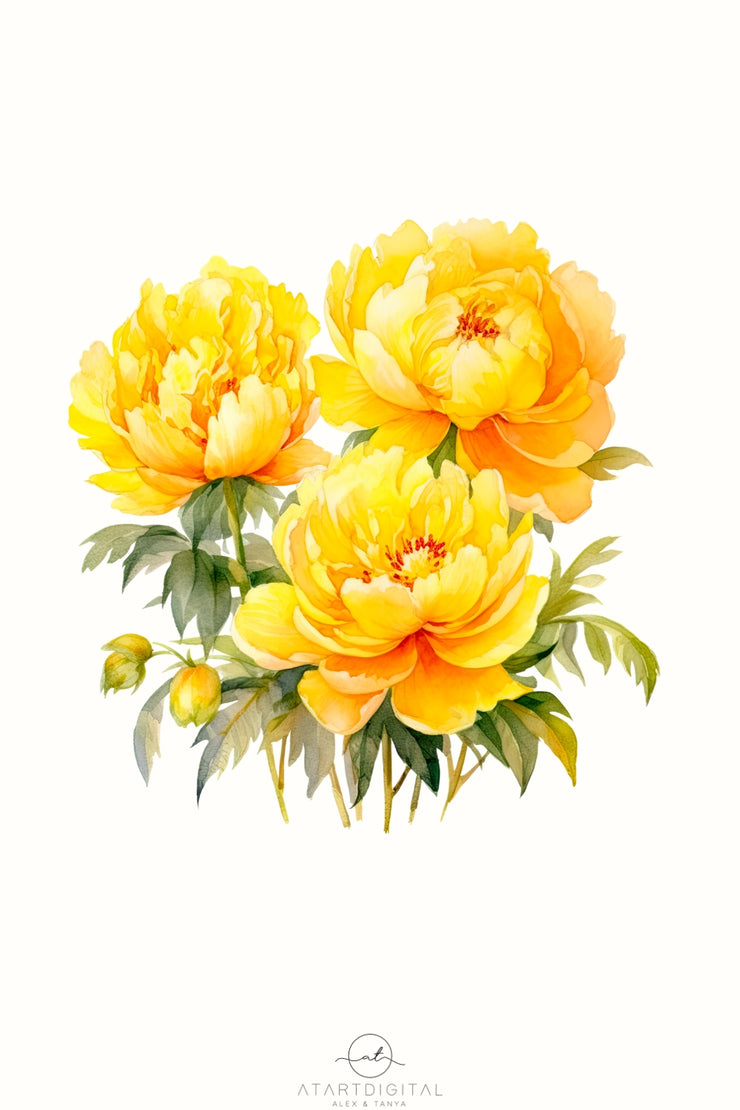 Yellow Peonies PNG Digital Download