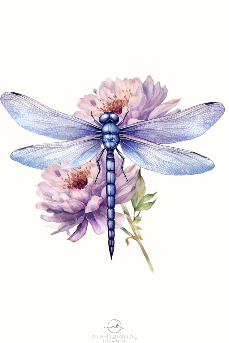 Dragonfly Floral Printable Artwork, Digital Downloads for Sublimation Designs