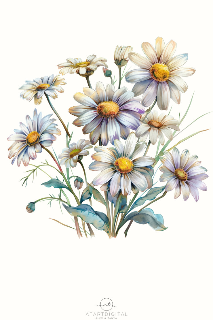 Daisy Floral Digital Downloads, Tshirt Design PNG