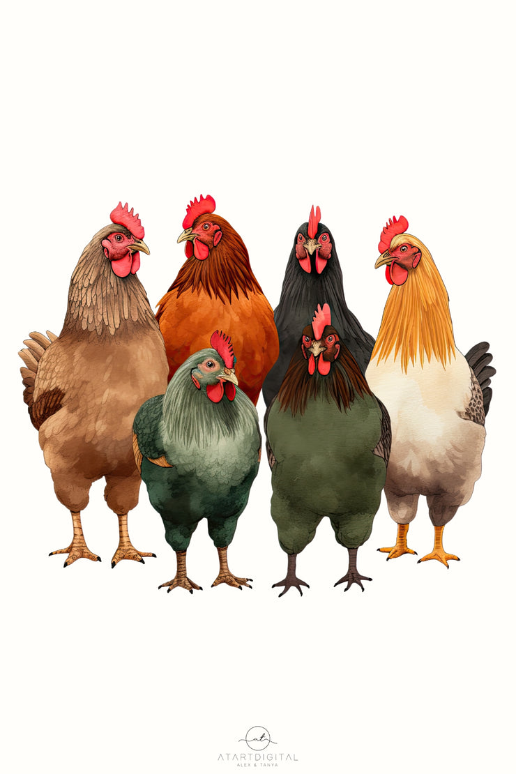 Chicken Graphic Digital Downloads: Sublimation Print for Chicken Lovers