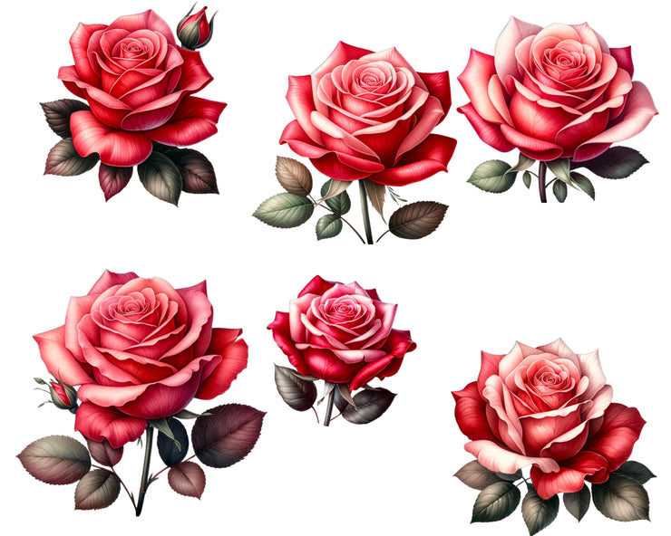 Watercolor Roses Clipart | Floral Designs | Wedding Invites