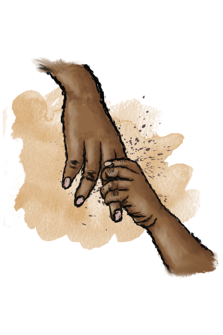 Adult And Child Holding Hands | African American Hands