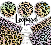 Leopard Rainbow Patterns