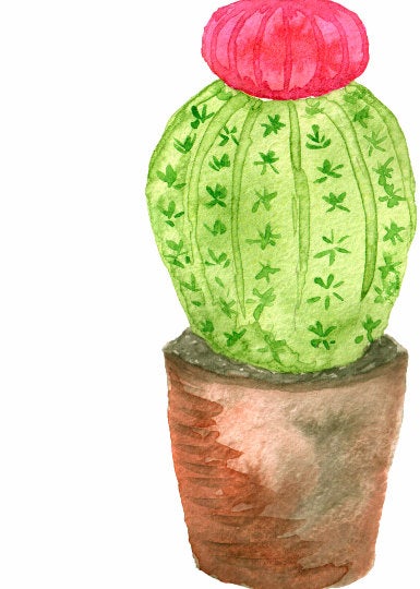 Cactuses Hand-Painted Watercolor Clipart